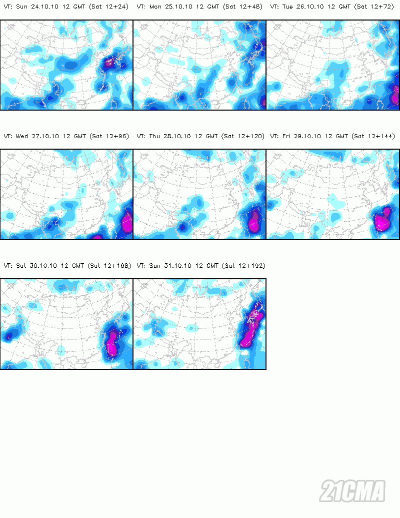 jma_prec_panel_12.gif