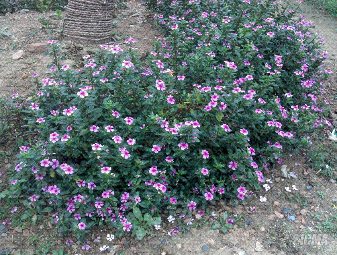 QQ��ͼ20121107122427.GIF