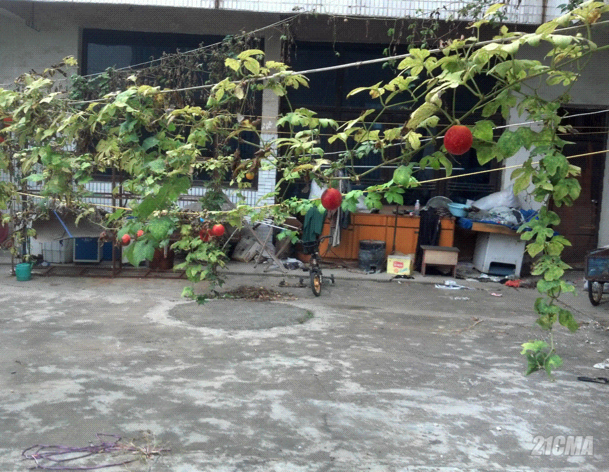 QQ��ͼ20121107122451.GIF