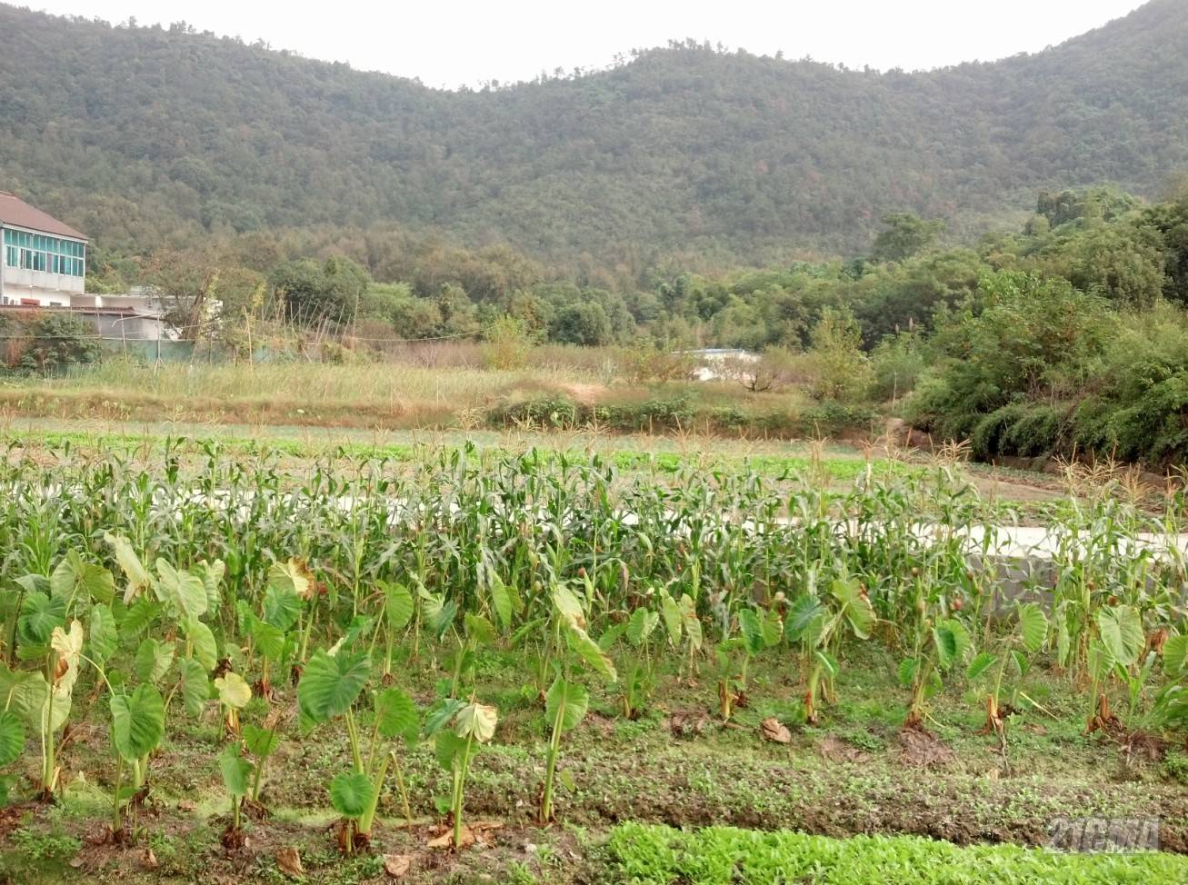 QQ��ͼ20121015233604.jpg