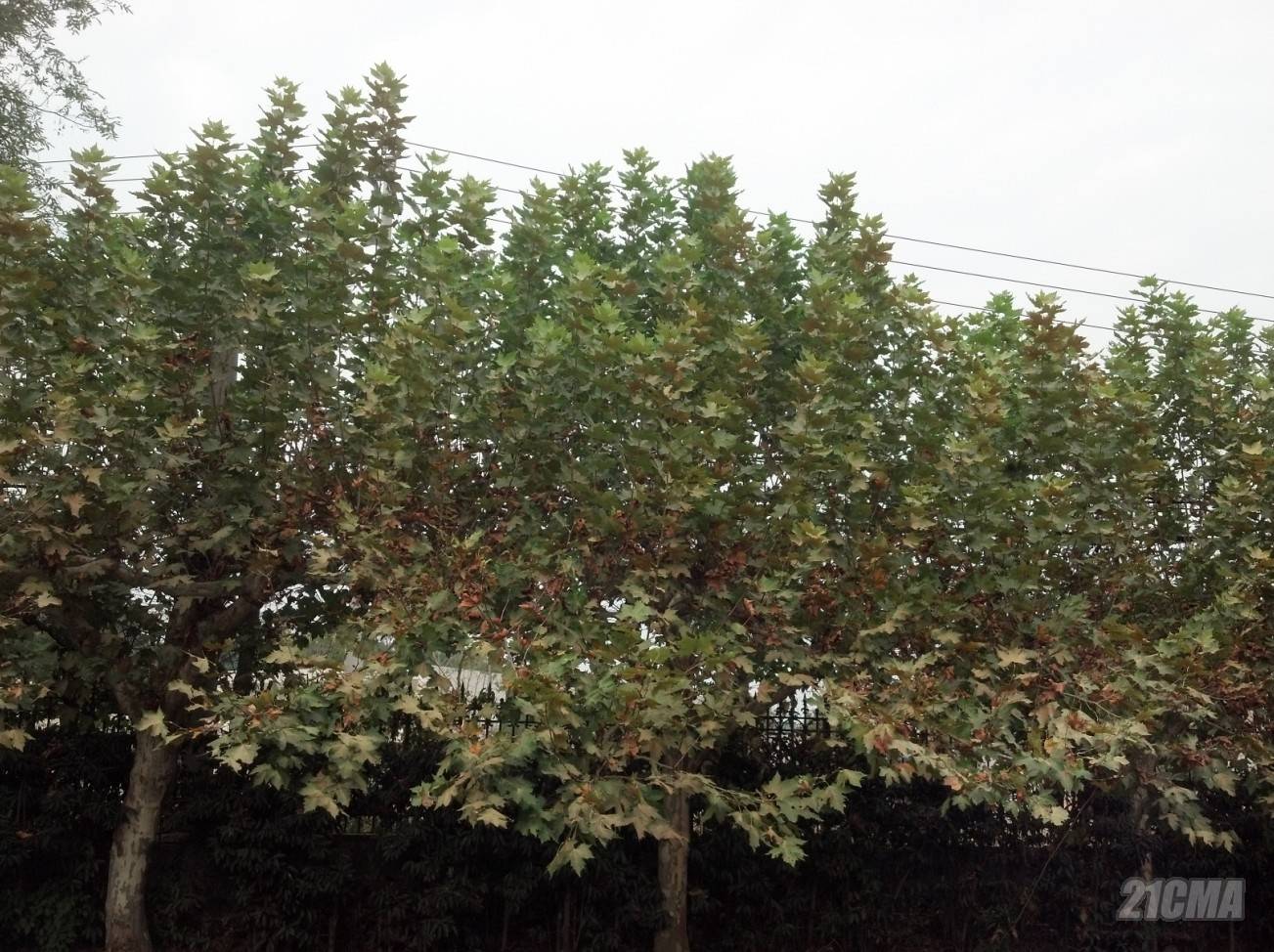 QQ��ͼ20121015233612.jpg