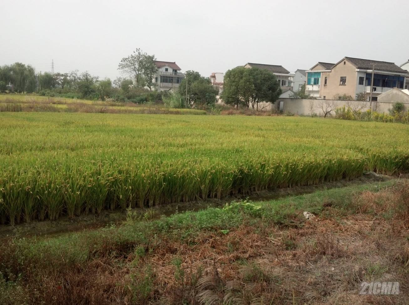 QQ��ͼ20121015233548.jpg