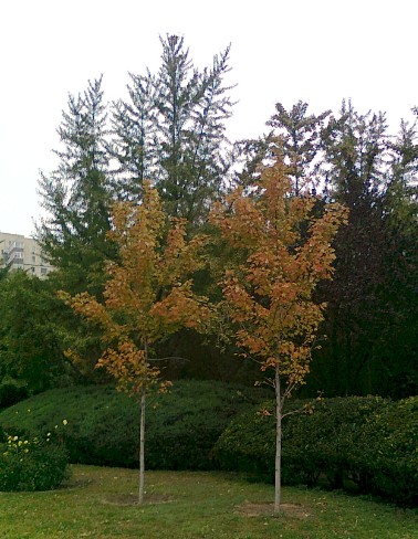 QQ��ͼ20121021200335.jpg