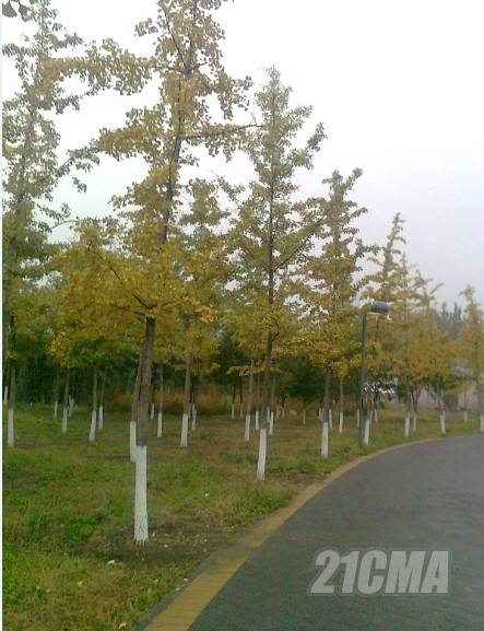 QQ��ͼ20121021200528.jpg