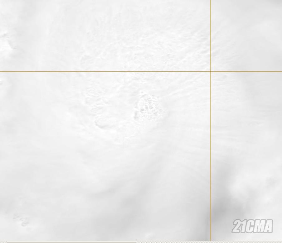 CDO�����ͼ20130810.0431UTC.aqua.x.visqkm.11WUTOR.jpg