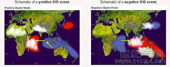 IOD.jpg