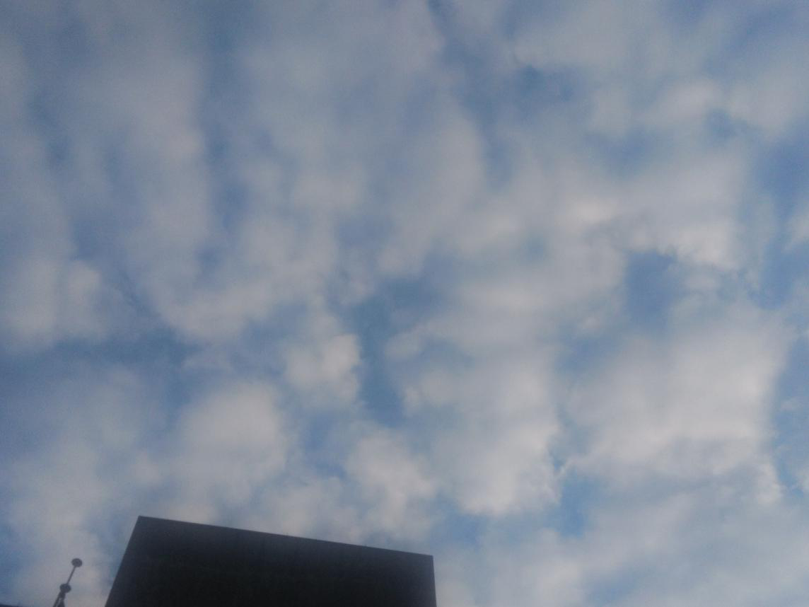 ͼƬ5.��״�߻���.png
